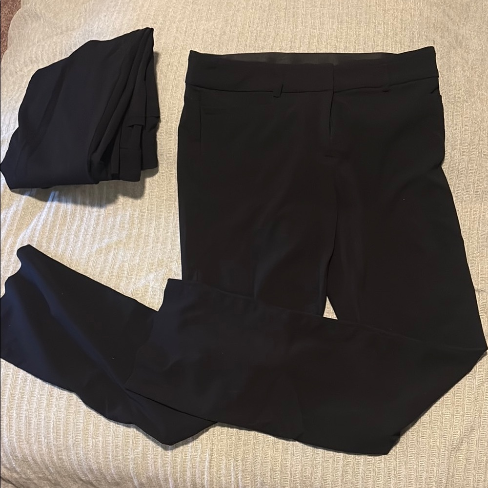 Classic Straight-Leg Women's Dress Pants - Black